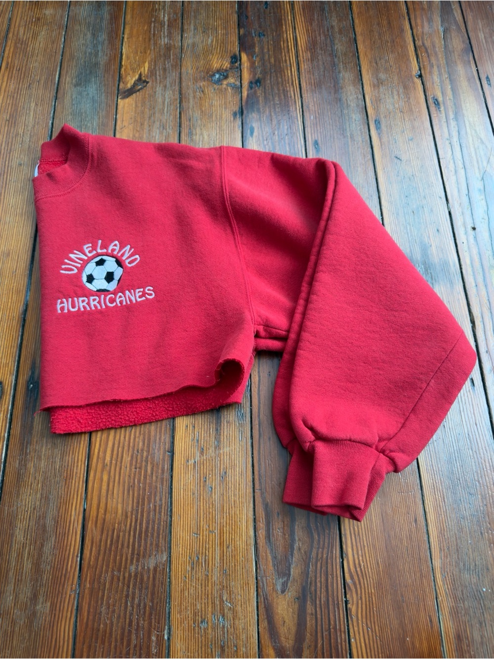 Vintage 80s Jerzees Super Sweats Vineland Hurricanes soccer sweatshirt